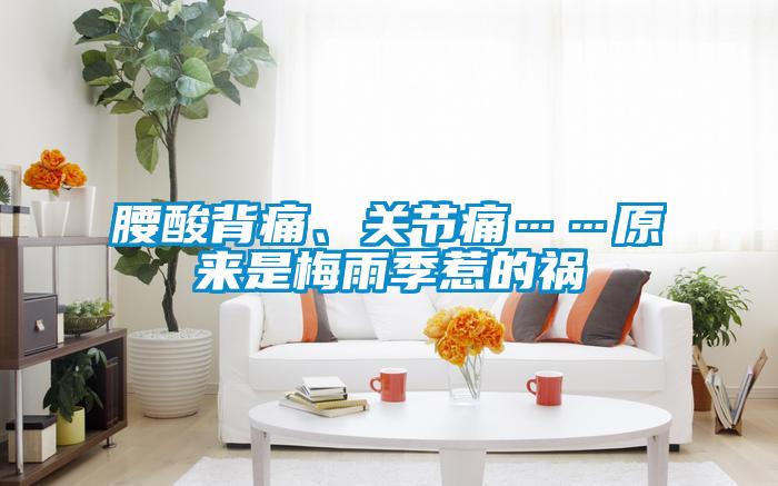 腰酸背痛、關節痛……原來是梅雨季惹的禍