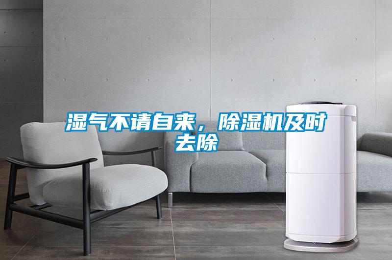 濕氣不請自來，除濕機(jī)及時(shí)去除