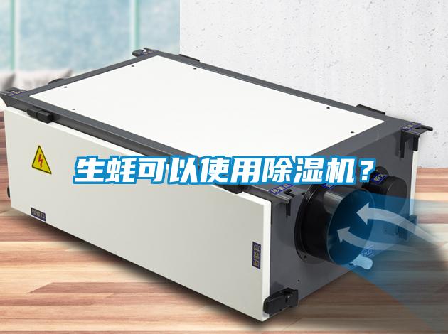生蠔可以使用除濕機？