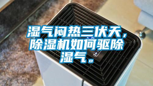 濕氣悶熱三伏天，除濕機如何驅除濕氣。