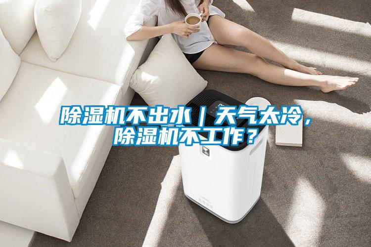 除濕機不出水｜天氣太冷，除濕機不工作？