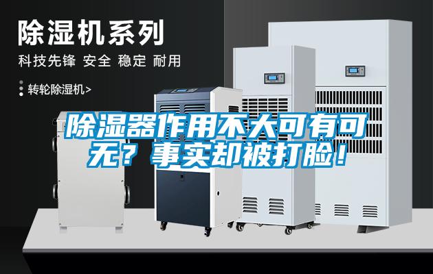 除濕器作用不大可有可無？事實卻被打臉！