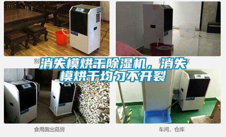 消失模烘干除濕機(jī),消失模烘干均勻不開裂