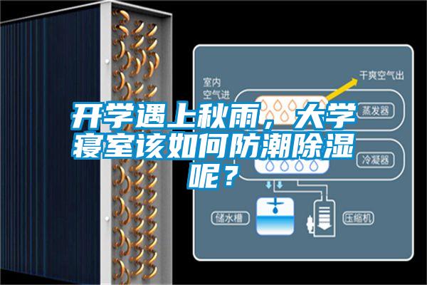 開學遇上秋雨，大學寢室該如何防潮除濕呢？