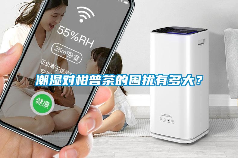 潮濕對柑普茶的困擾有多大？