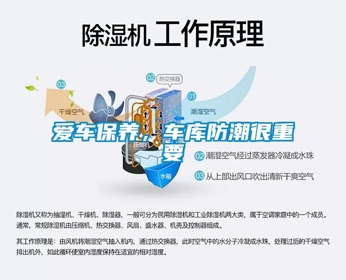 愛車保養，車庫防潮很重要