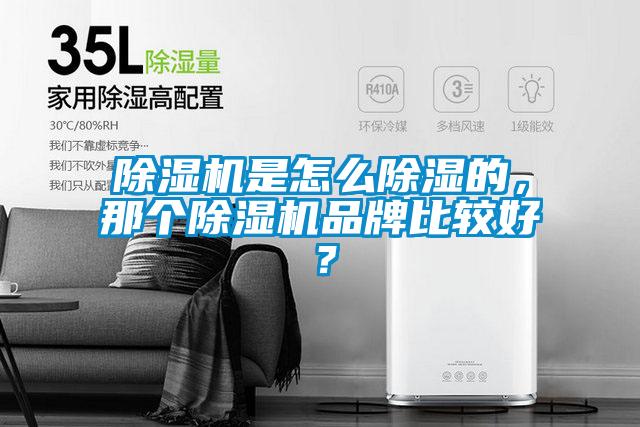 除濕機(jī)是怎么除濕的,那個除濕機(jī)品牌比較好?