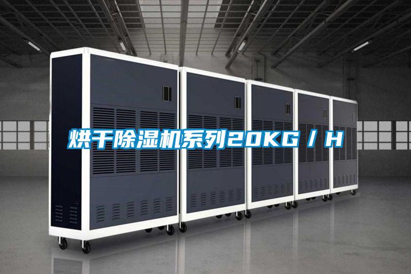 烘干除濕機(jī)系列20KG/H