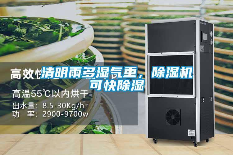清明雨多濕氣重，除濕機可快除濕