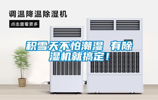 積雪天不怕潮濕 有除濕機就搞定!