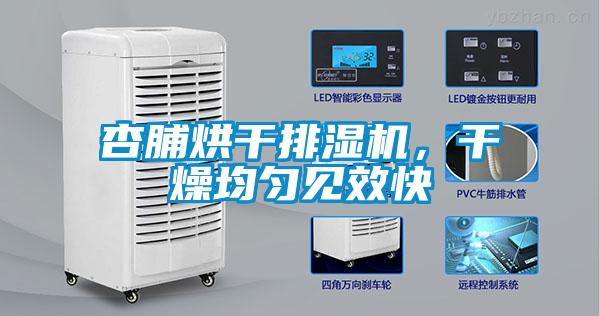 杏脯烘干排濕機,干燥均勻見效快