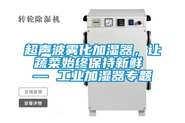 超聲波霧化加濕器,讓蔬菜始終保持新鮮 — 工業加濕器專題