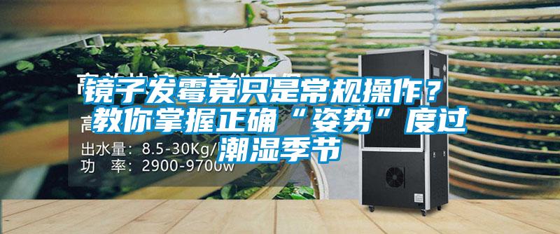 鏡子發(fā)霉竟只是常規(guī)操作？ 教你掌握正確“姿勢”度過潮濕季節(jié)