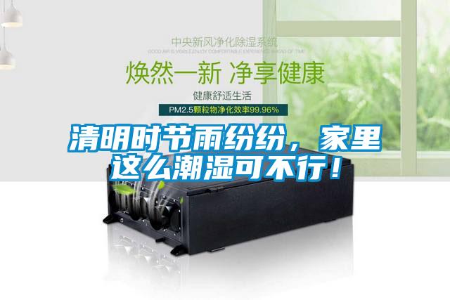清明時節雨紛紛,家里這么潮濕可不行!