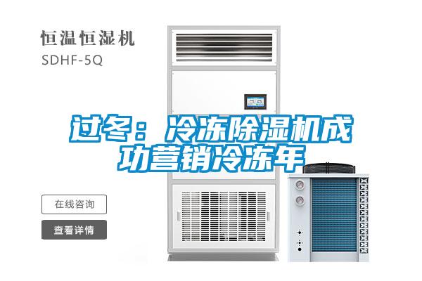 過冬:冷凍除濕機成功營銷冷凍年