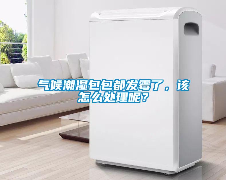 氣候潮濕包包都發霉了，該怎么處理呢？