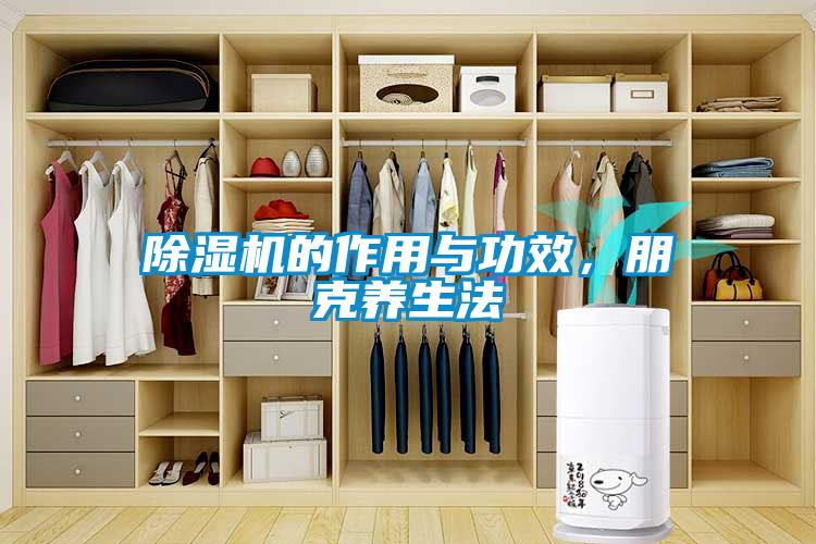 除濕機的作用與功效，朋克養生法