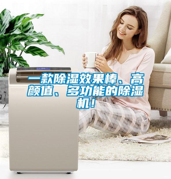 一款除濕效果棒、高顏值、多功能的除濕機！
