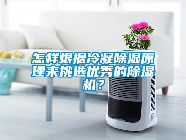 怎樣根據(jù)冷凝除濕原理來挑選優(yōu)秀的除濕機？