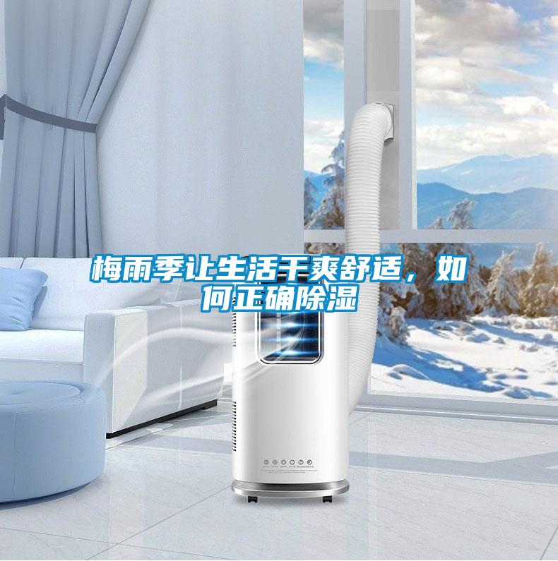 梅雨季讓生活干爽舒適，如何正確除濕