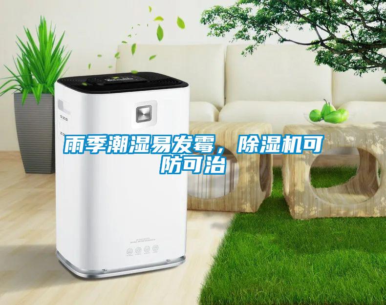 雨季潮濕易發(fā)霉，除濕機可防可治