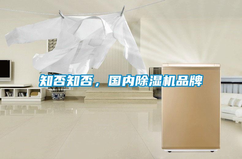 知否知否,國內除濕機品牌