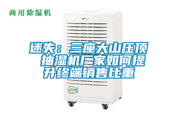 迷失:三座大山壓頂 抽濕機(jī)廠家如何提升終端銷(xiāo)售比重