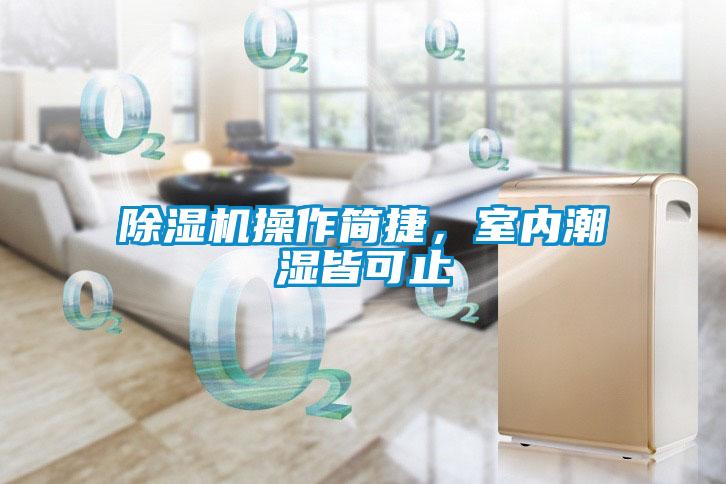 除濕機(jī)操作簡(jiǎn)捷,室內(nèi)潮濕皆可止
