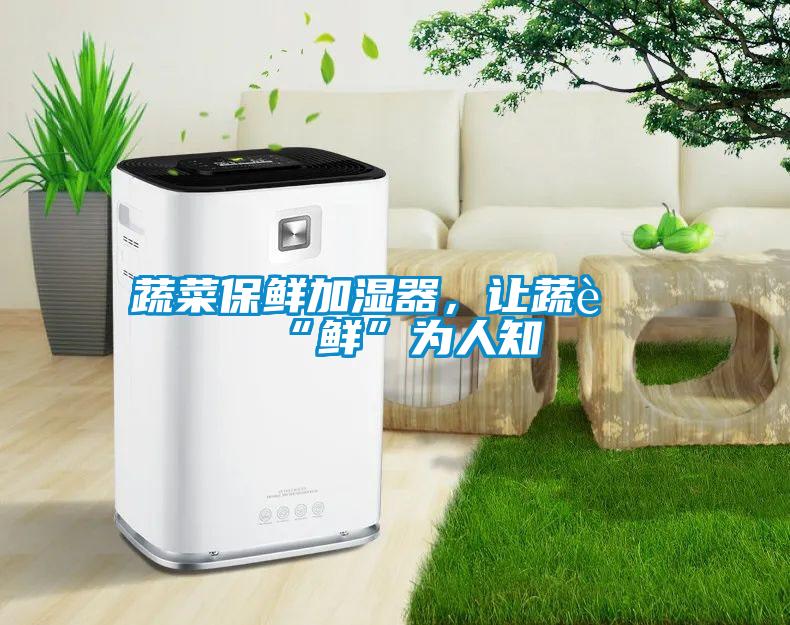 蔬菜保鮮加濕器，讓蔬菜“鮮”為人知