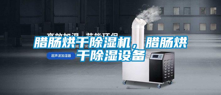 臘腸烘干除濕機,臘腸烘干除濕設備