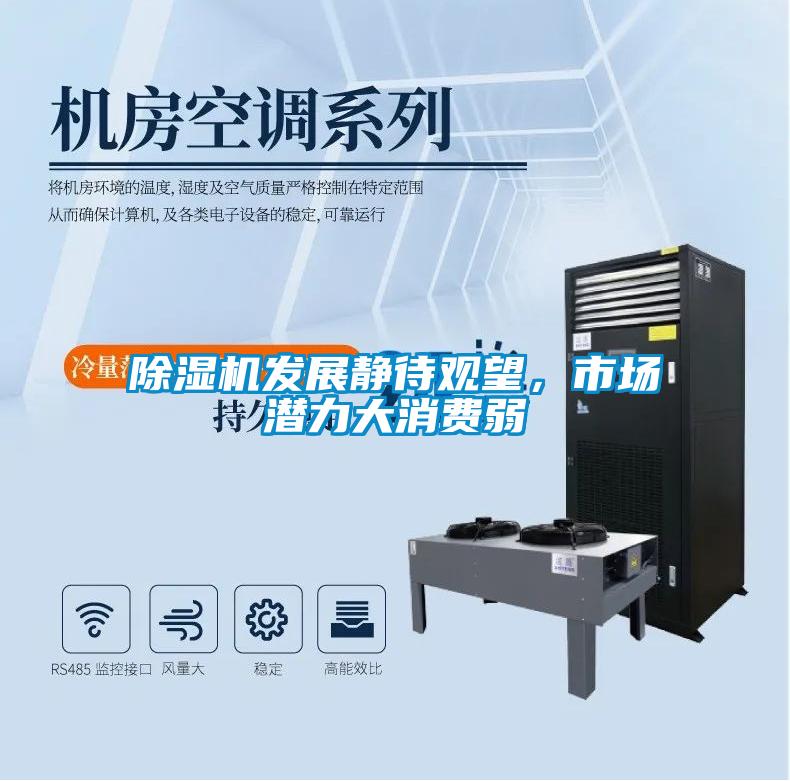 除濕機發展靜待觀望，市場潛力大消費弱