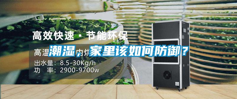 潮濕，家里該如何防御？