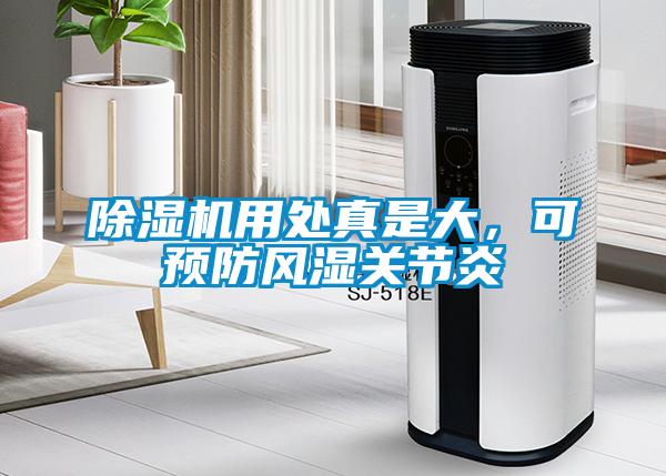 除濕機用處真是大，可預防風濕關節炎