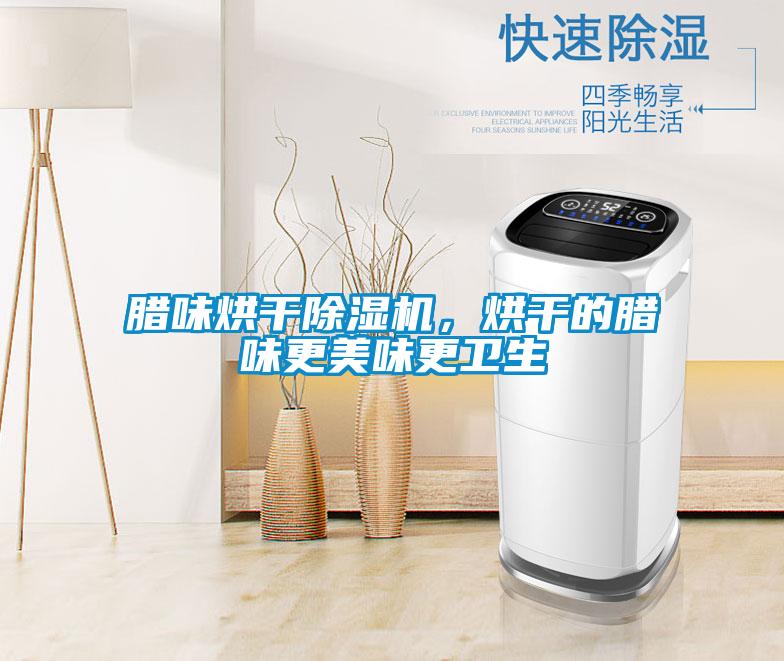 臘味烘干除濕機,烘干的臘味更美味更衛生