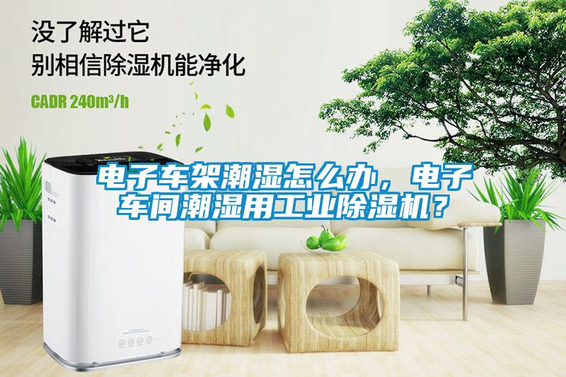 電子車(chē)架潮濕怎么辦,電子車(chē)間潮濕用工業(yè)除濕機(jī)?
