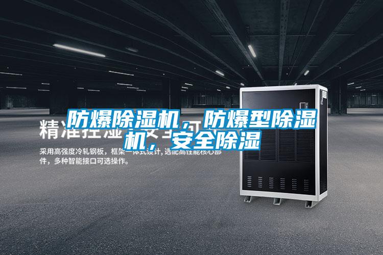防爆除濕機(jī)，防爆型除濕機(jī)，安全除濕