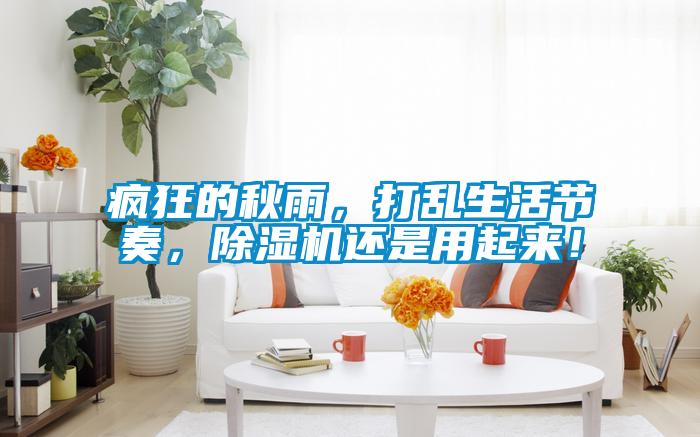 瘋狂的秋雨,打亂生活節奏,除濕機還是用起來!