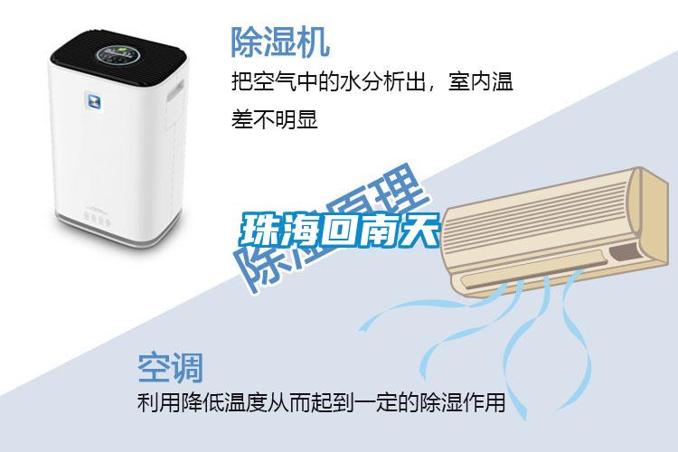 珠?；啬咸?></div>
								<div   id=