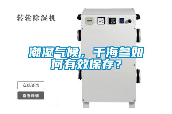 潮濕氣候,干海參如何有效保存?