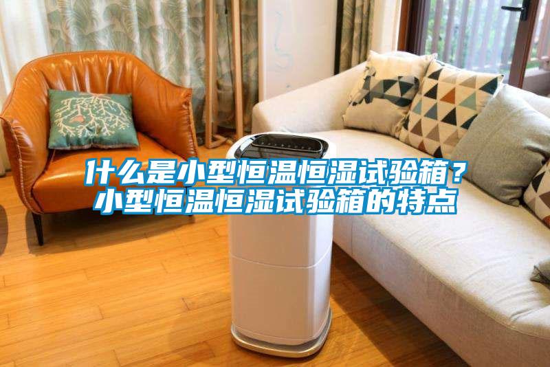 什么是小型恒溫恒濕試驗箱?小型恒溫恒濕試驗箱的特點
