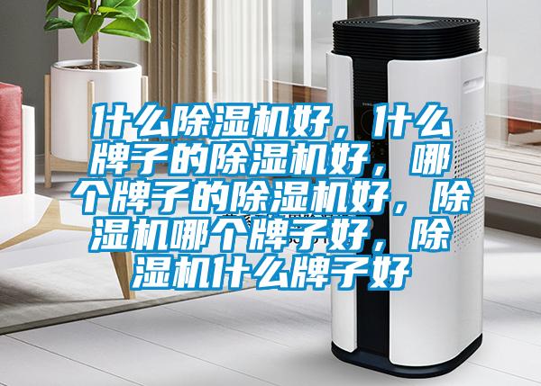 什么除濕機(jī)好，什么牌子的除濕機(jī)好，哪個牌子的除濕機(jī)好，除濕機(jī)哪個牌子好，除濕機(jī)什么牌子好