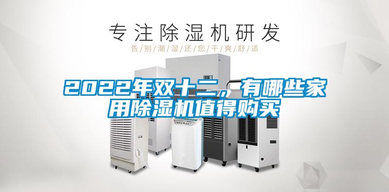 2022年雙十二,有哪些家用除濕機值得購買