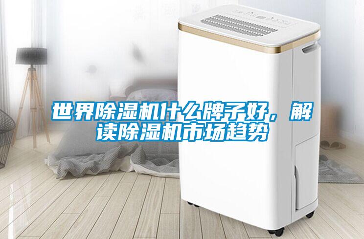 世界除濕機什么牌子好，解讀除濕機市場趨勢