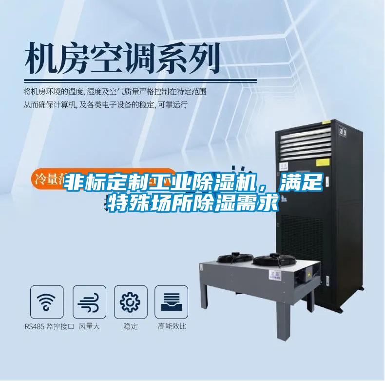非標(biāo)定制工業(yè)除濕機(jī),滿足特殊場所除濕需求