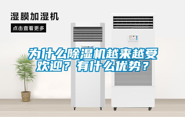 為什么除濕機越來越受歡迎？有什么優勢？