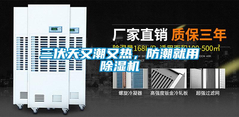 三伏天又潮又熱,防潮就用除濕機