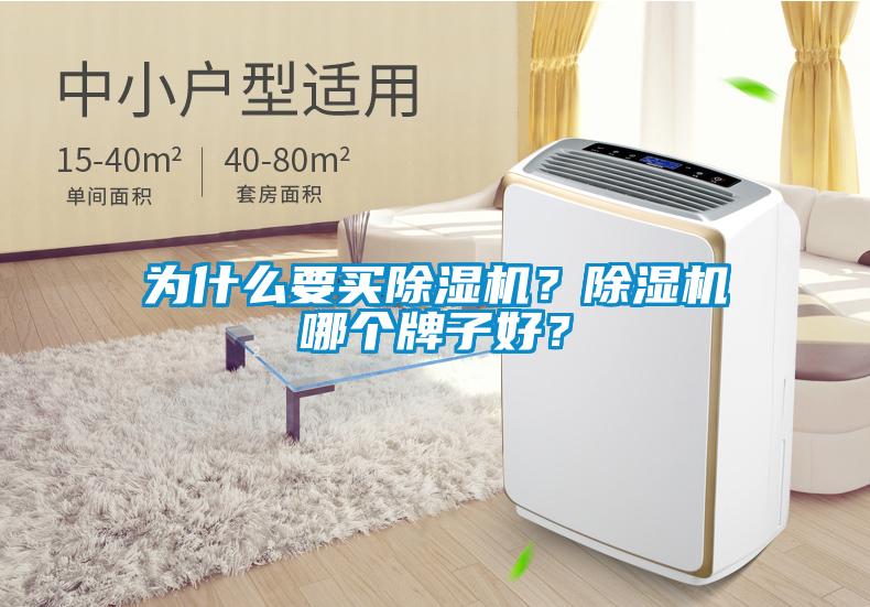 為什么要買除濕機？除濕機哪個牌子好？
