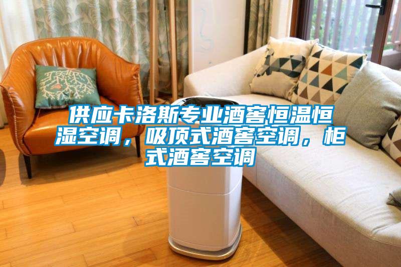 供應卡洛斯專業酒窖恒溫恒濕空調，吸頂式酒窖空調，柜式酒窖空調