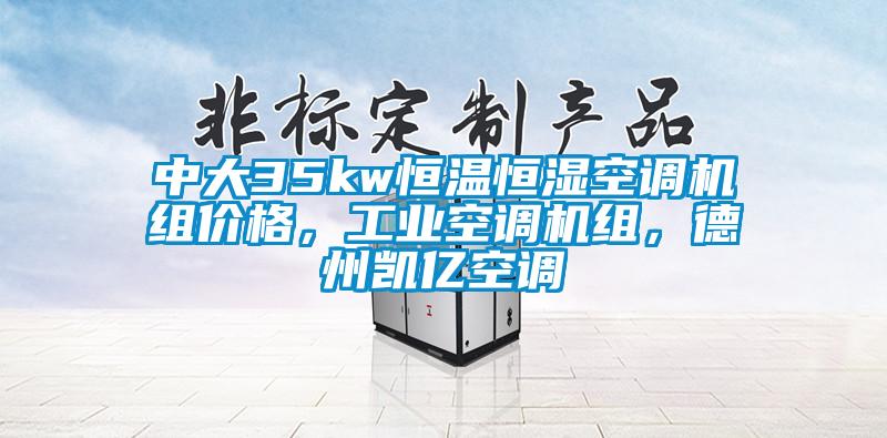 中大35kw恒溫恒濕空調機組價格,工業空調機組,德州凱億空調