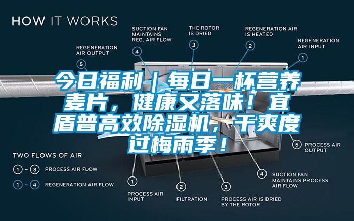 今日福利｜每日一杯營養(yǎng)麥片，健康又落味！宜盾普高效除濕機(jī)，干爽度過梅雨季！